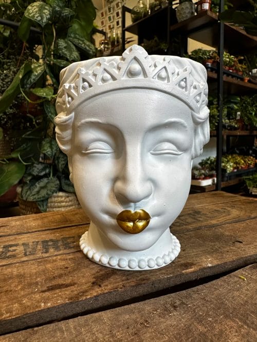 Queen Head Gold Lips White Planter Plant Accessories face 8