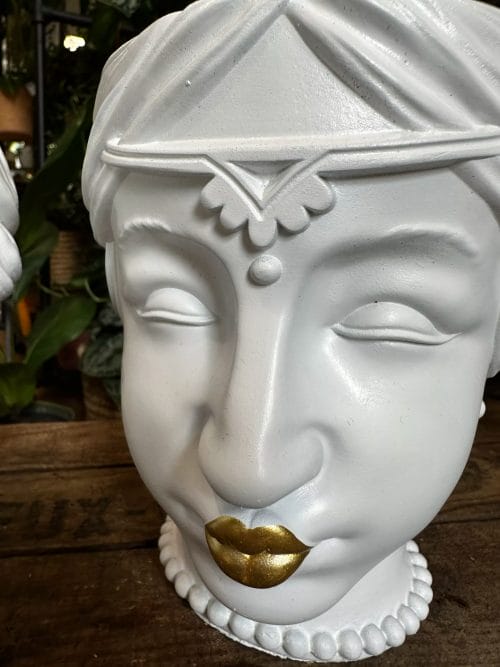 Queen Head Gold Lips White Planter Plant Accessories face 13