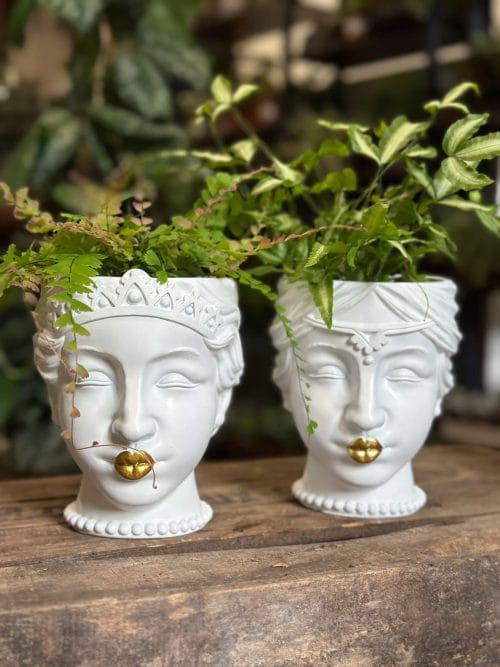 Queen Head Gold Lips White Planter Plant Accessories face 3