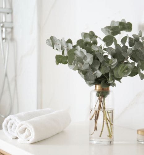 fresh eucalyptus bouquet for home spa and vases