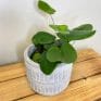 modern concrete planter with lines for 8cm pots