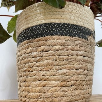 Rustic Seaweed Natural Black Stripe Basket Large for 20cm pots Plant Accessories basket 2