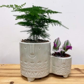 Family Twins Double Ceramic Planter Grey Plant Accessories 7cm