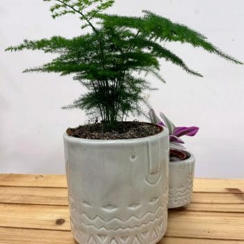Family Twins Double Ceramic Planter Grey Plant Accessories 7cm 2