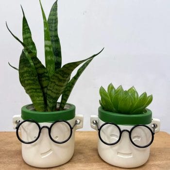 Geek Harry Glasses Face Planter Planters concrete 3