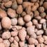 leca clay pebbles brown hydro small balls 3 litres