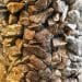 brown-stones