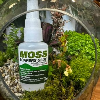 Terrarium Moss Scapers Glue 20g Glue aquarium 2