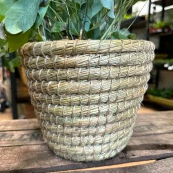 Natural Thick Straw Basket Planter Plant Accessories