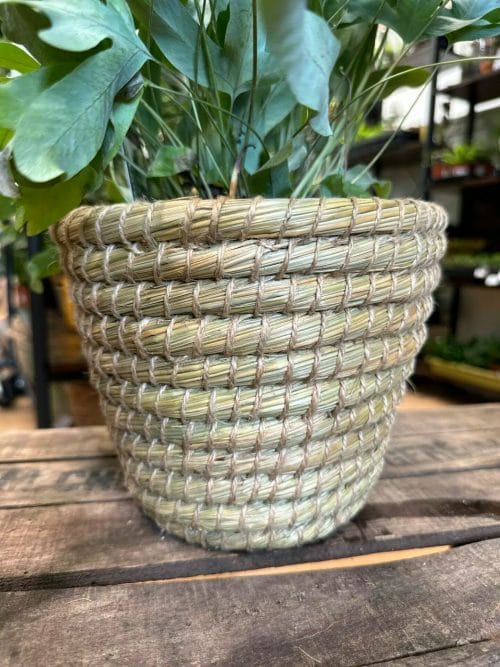 Natural Thick Straw Basket Planter Plant Accessories 2