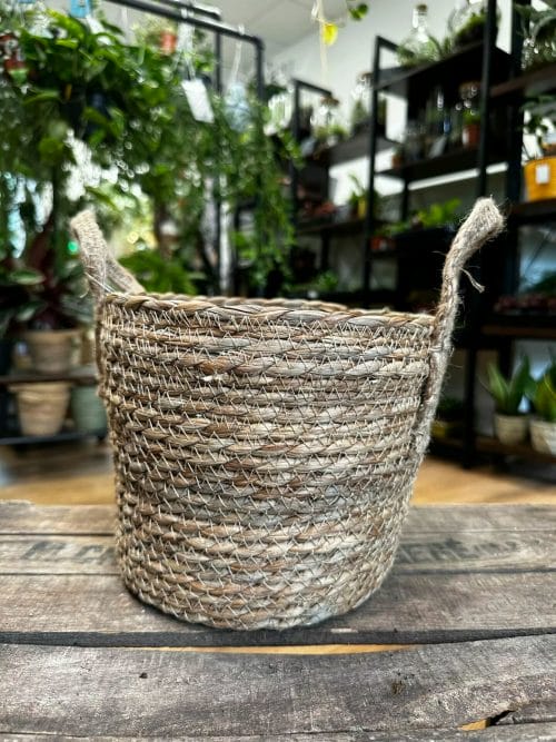 Natural Thick Straw Basket With Handles Planter For 22cm pots Plant Accessories 9