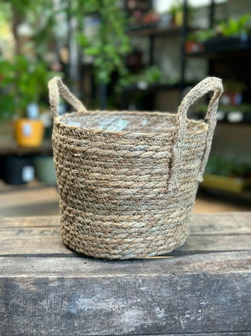 Natural Thick Straw Basket With Handles Planter For 22cm pots Plant Accessories 7