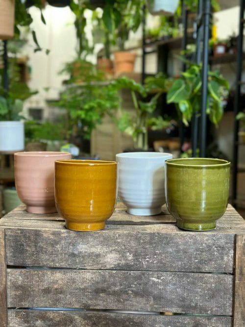 Classic Minimalistic Glazed Ceramic Planter for 12cm pot Planters ceramic 3