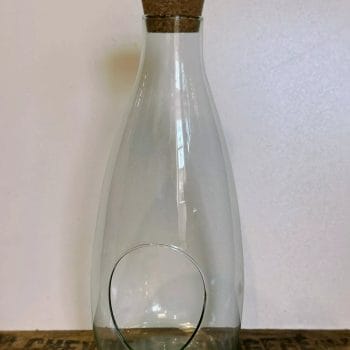 Vintage Bottle Terrarium Eco Glass Container Other Containers 2