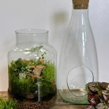 Make Your Own Open Terrarium Kit | Eco-Glass Terrariums & Mossariums diy