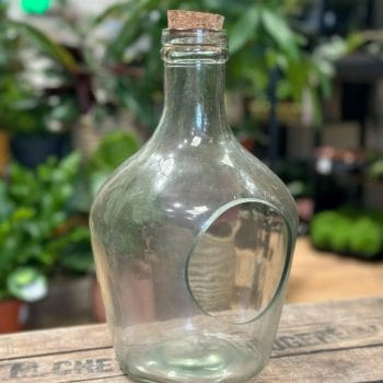 Large Vintage Terrarium Container Eco Glass Open Bottle Other Containers 2