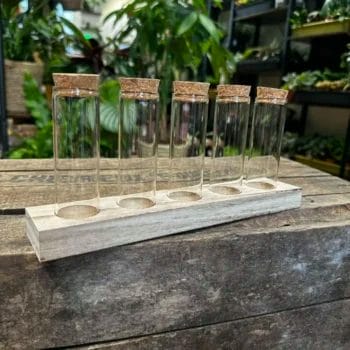 Lab Glass Tubes Wood Rack With Cork Set Terrarium Accessories 2