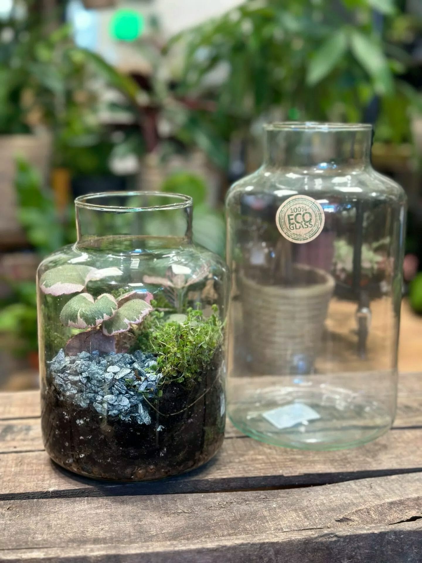 RECYCLED GLASS Jar 8l | Cork Lid | Storage or terrarium | Eco-friendly Gift