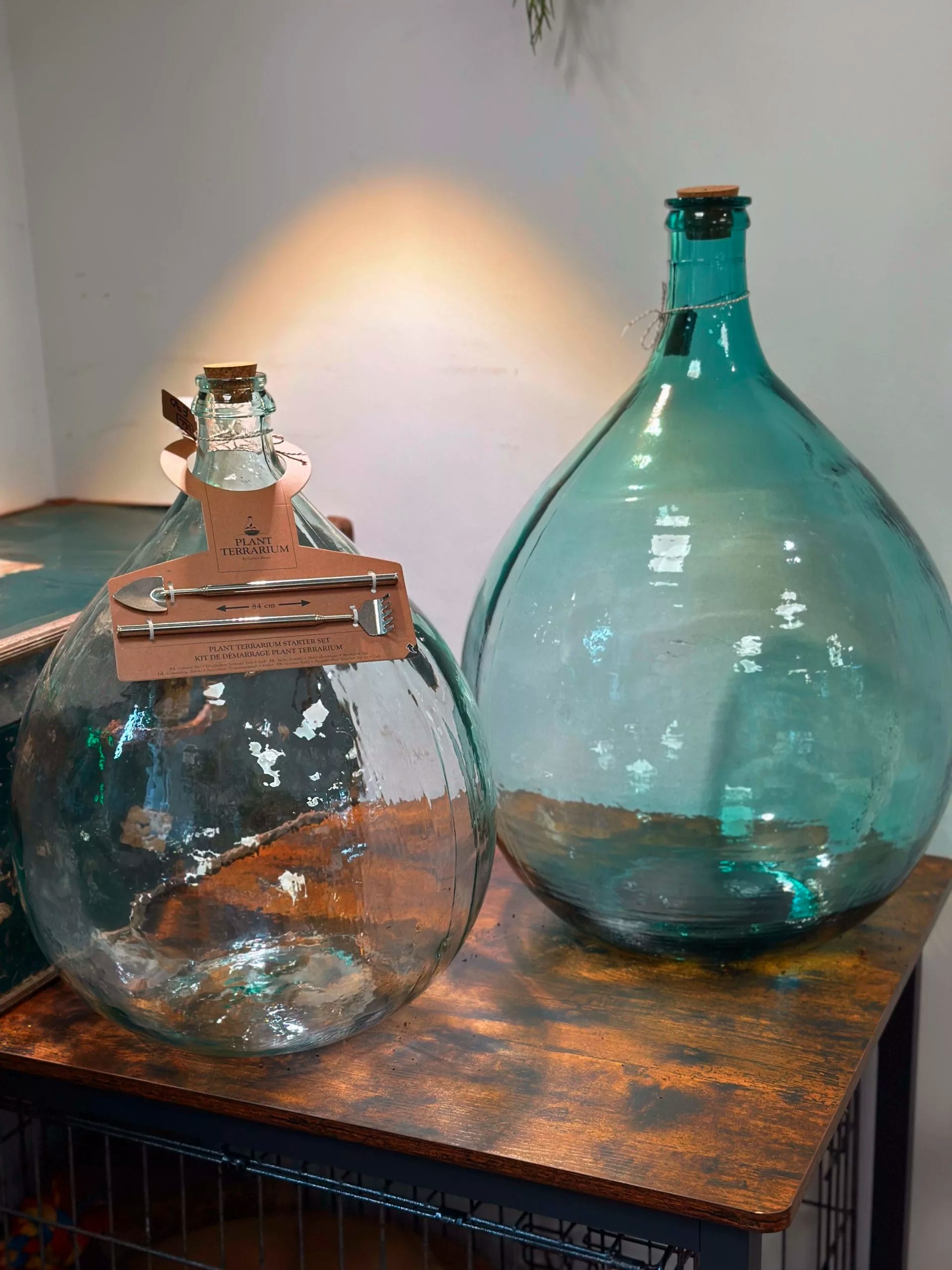 Vintage Circa 1960 Extra Large Glass Jar Terrarium Bottle -  UK