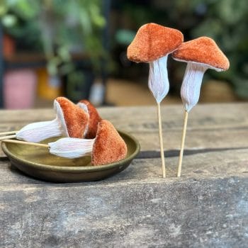 Brown Toadstool Mushrooms 5pcs Craft and Art Artwork 2