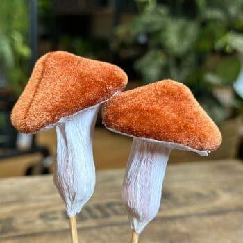 Brown Toadstool Mushrooms 5pcs Craft and Art Decorations