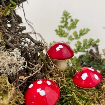 Red Toadstool Mushrooms 24pcs Terrariums Craft and Art Artwork 2