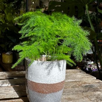 Glazed Brown Grey Planter On Legs Planters bowl