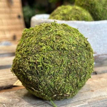 Preserved Green Moss Ball Preserved Moss carpet moss 2