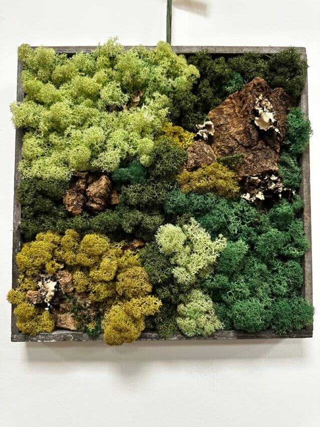 The Forgotten Forest' Moss Wall Art by Moss Art Installations