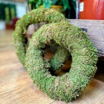 Natural Green Moss Wreath Preserved Christmas christmas