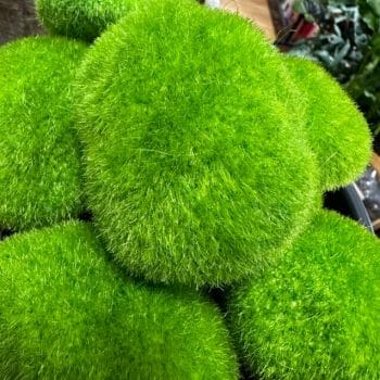 Artificial Green Moss Rocks Medium Pebbles Craft and Art Decorations