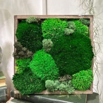 Handmade Preserved Moss Wall Art Simple Green Artwork moss art