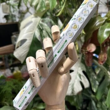 Plant Based Vegan Incense Sticks Gift Ideas cones 2