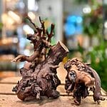 Terrarium Decorations