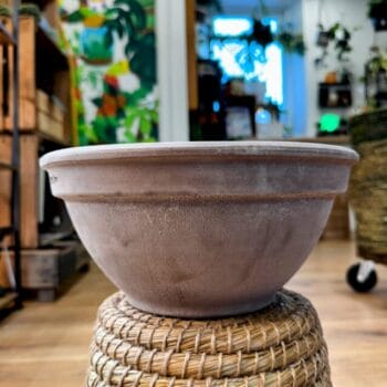 Terracotta Bowl Planter 25cm Planters bowl 3