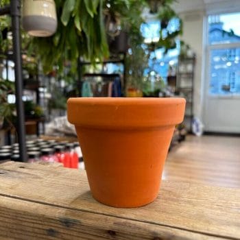 Rustic Terracotta Planter 10cm pot Plant Accessories planter