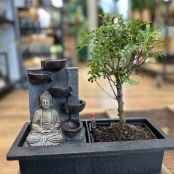 Bonsai Tree Relaxing Water Fountain Houseplants bonsai 2
