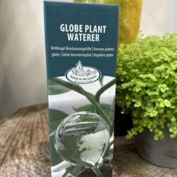 Plants Watering Glass Globe Plant Care 2