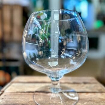 Wine Terrarium Glassware Glass Containers