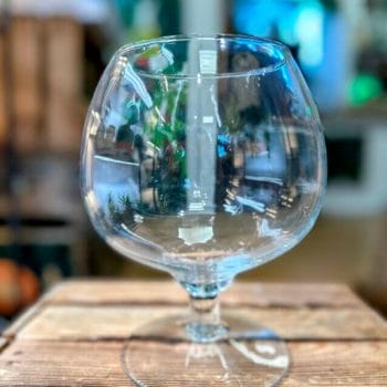 Wine Terrarium Glassware Glass Containers