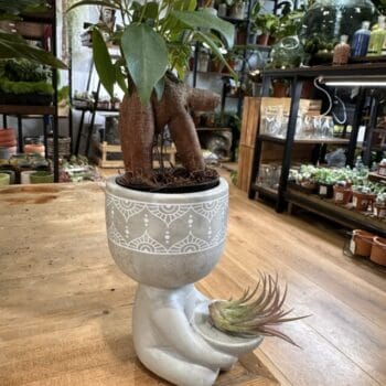 Handmade Baby Planter for 7cm pots Gift Ideas 7cm